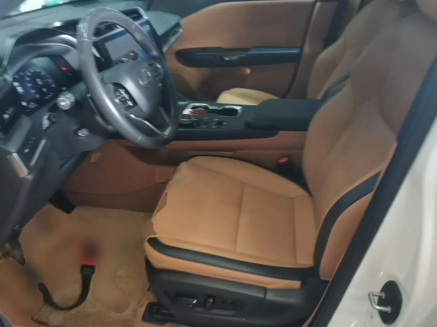 Lexus RZ 2023 450e All-Wheel Drive Luxury Edition — миниатюра 18