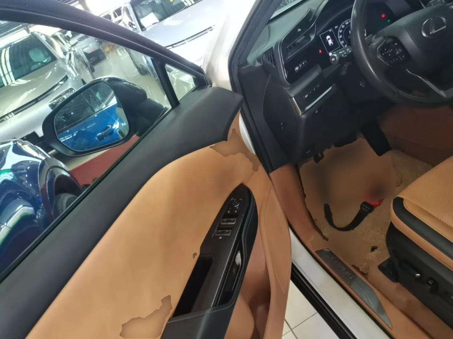 Lexus RZ 2023 450e All-Wheel Drive Luxury Edition — миниатюра 19