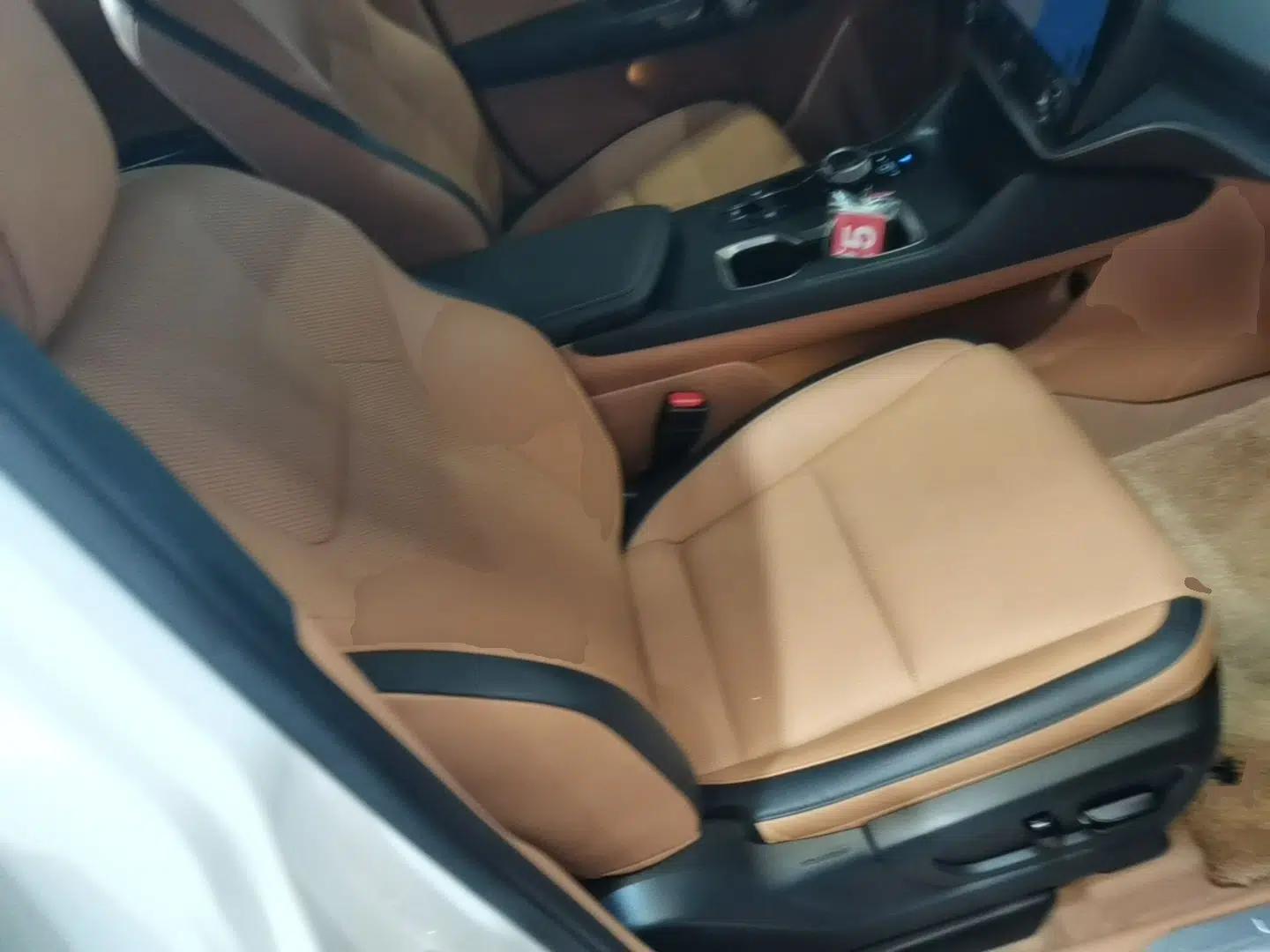 Lexus RZ 2023 450e All-Wheel Drive Luxury Edition — миниатюра 23