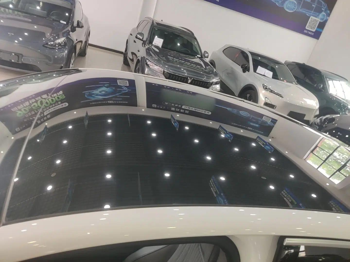 VOYAH PASSION 2023 Four-Wheel Drive Flagship Edition — миниатюра 11