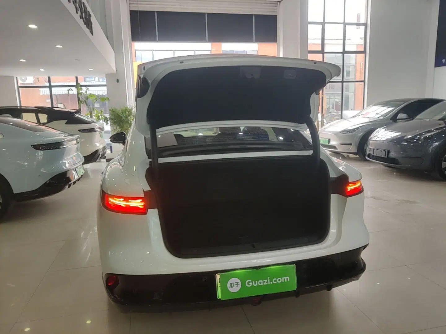 VOYAH PASSION 2023 Four-Wheel Drive Flagship Edition — миниатюра 22
