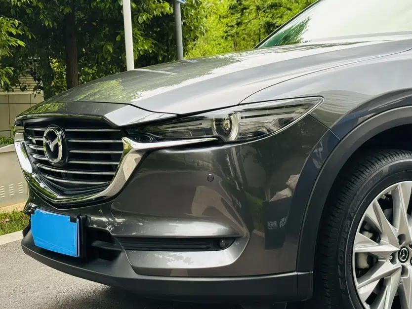 Mazda CX-8 2019 2.5L Four-Wheel Drive Deluxe Edition — миниатюра 5
