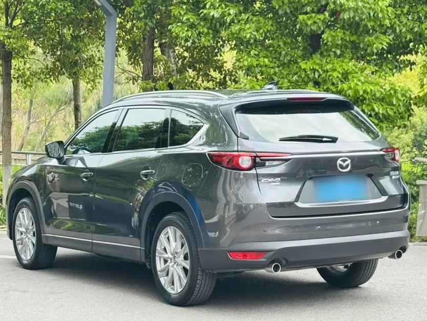 Mazda CX-8 2019 2.5L Four-Wheel Drive Deluxe Edition — миниатюра 6