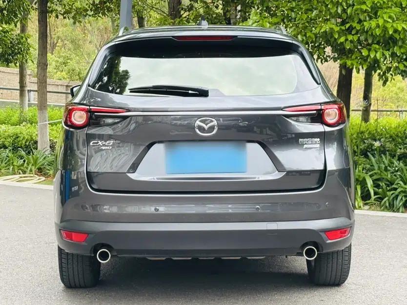 Mazda CX-8 2019 2.5L Four-Wheel Drive Deluxe Edition — миниатюра 7