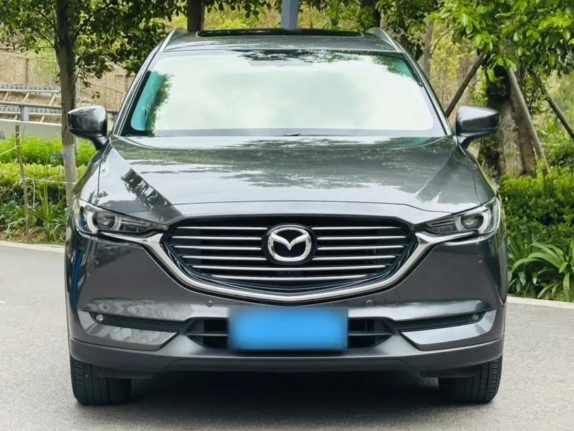 Mazda CX-8 2019 2.5L Four-Wheel Drive Deluxe Edition — миниатюра 8