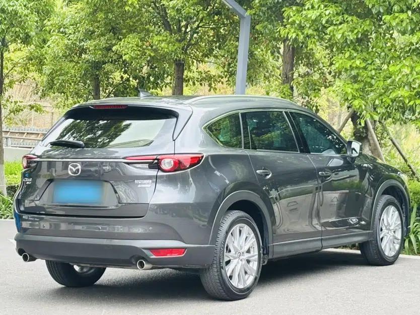 Mazda CX-8 2019 2.5L Four-Wheel Drive Deluxe Edition — миниатюра 9