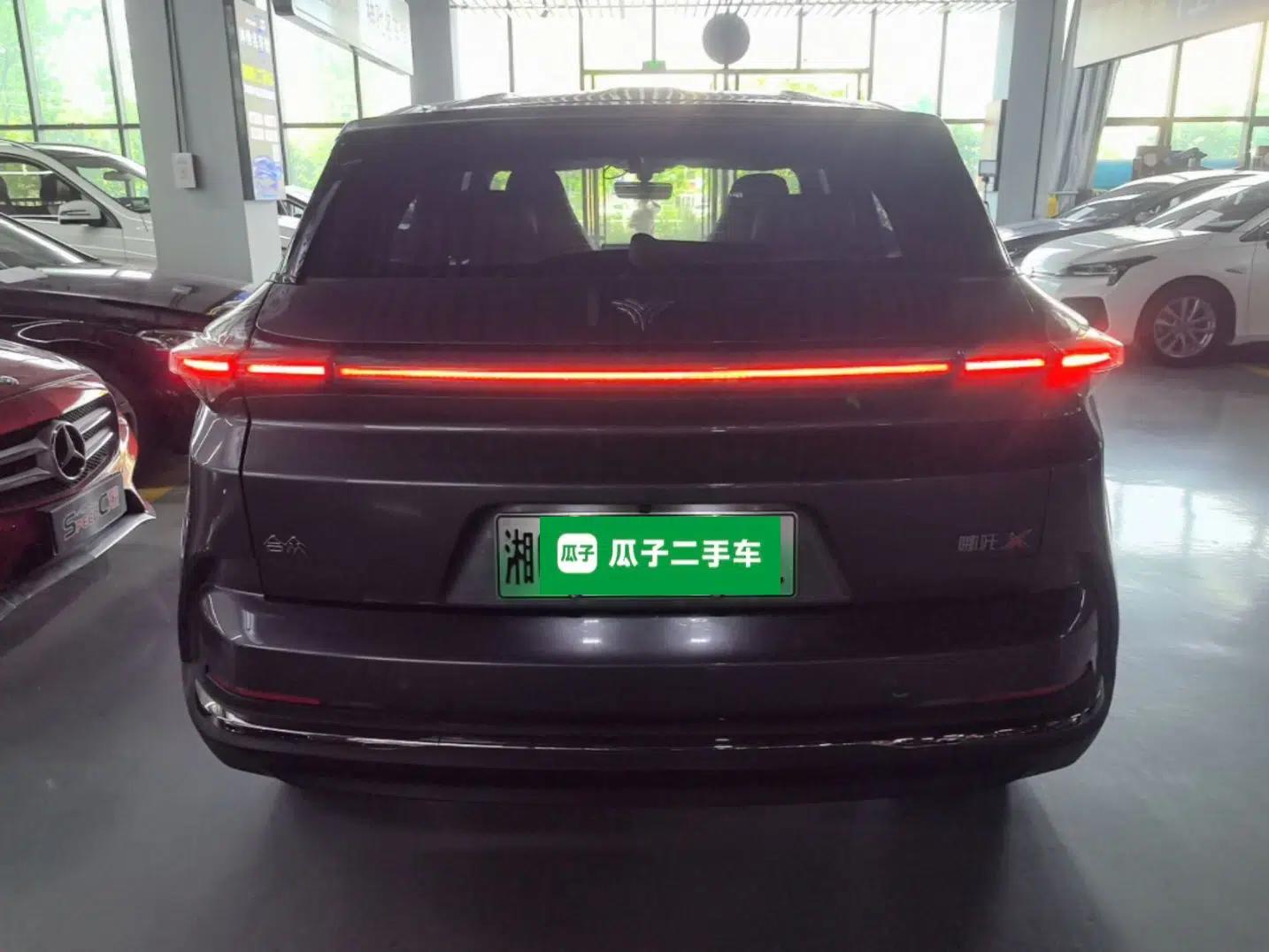 NETA X 2023 500 — миниатюра 5