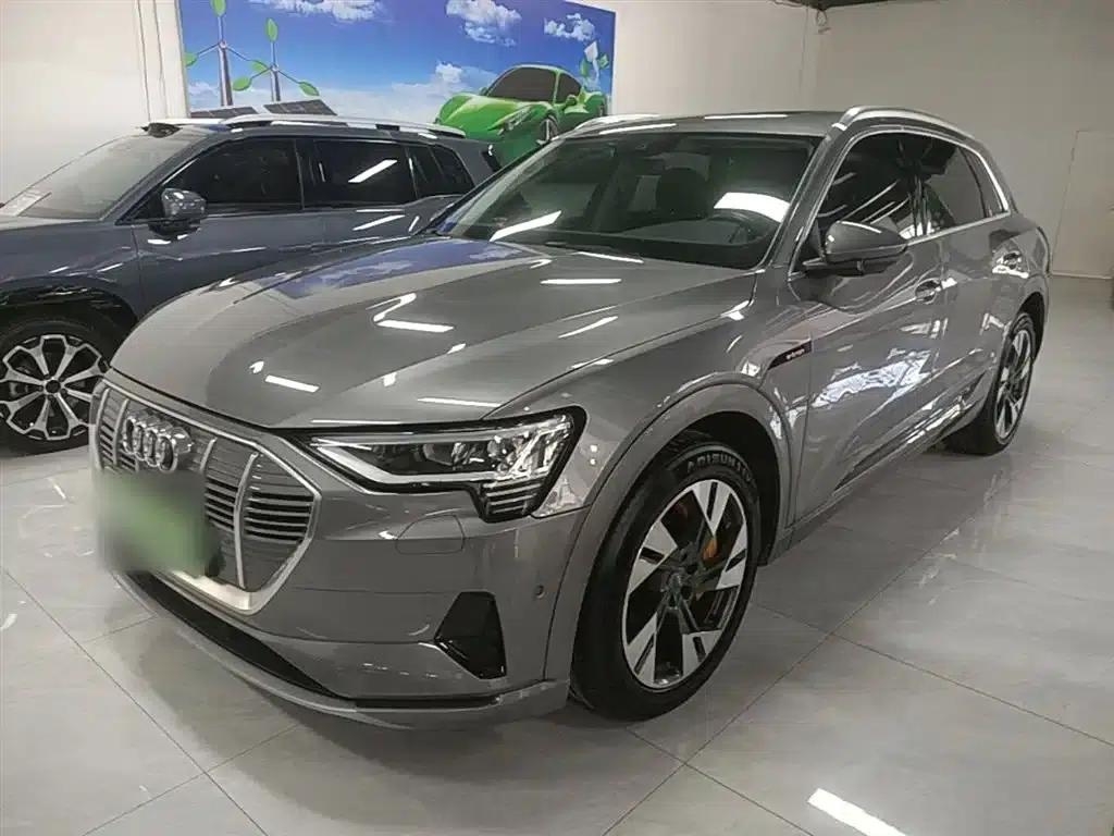 2019 Audi e-tron (imported) 55 quattro Technology Edition — миниатюра 2