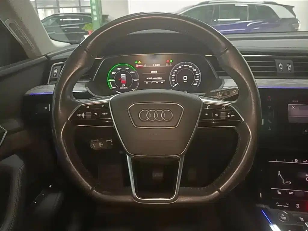 2019 Audi e-tron (imported) 55 quattro Technology Edition — миниатюра 11