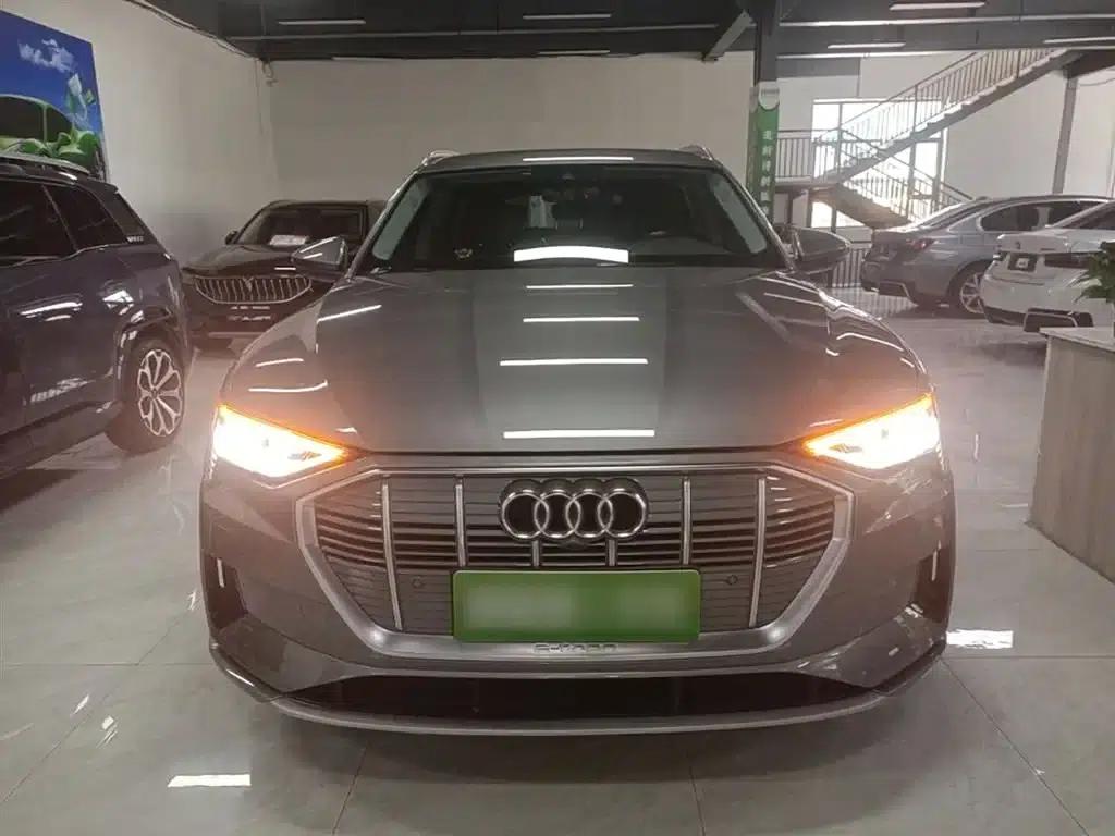 2019 Audi e-tron (imported) 55 quattro Technology Edition — миниатюра 3