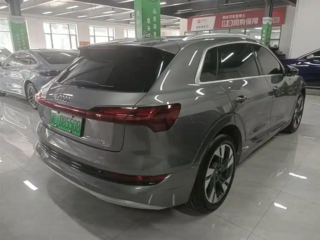 2019 Audi e-tron (imported) 55 quattro Technology Edition — миниатюра 7