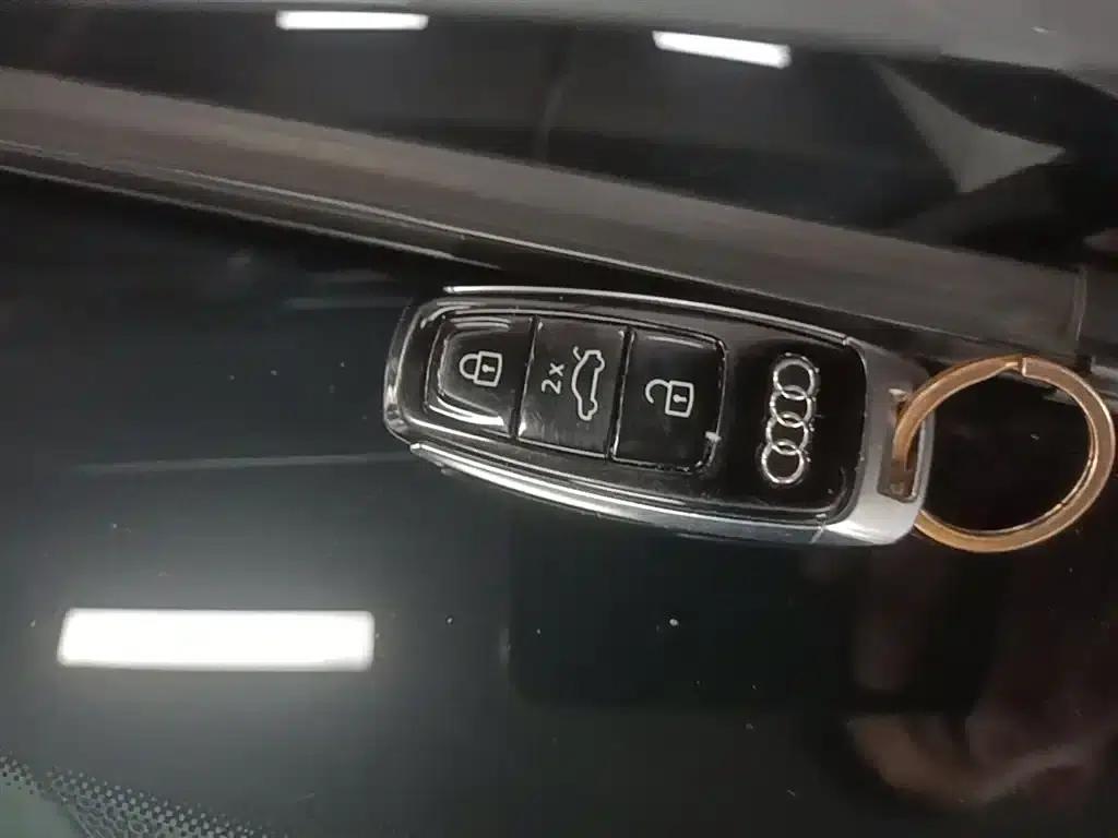 2019 Audi e-tron (imported) 55 quattro Technology Edition — миниатюра 9