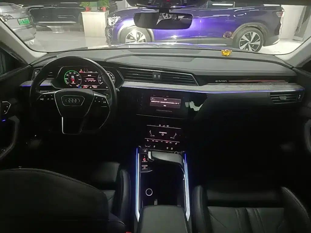2019 Audi e-tron (imported) 55 quattro Technology Edition — миниатюра 10