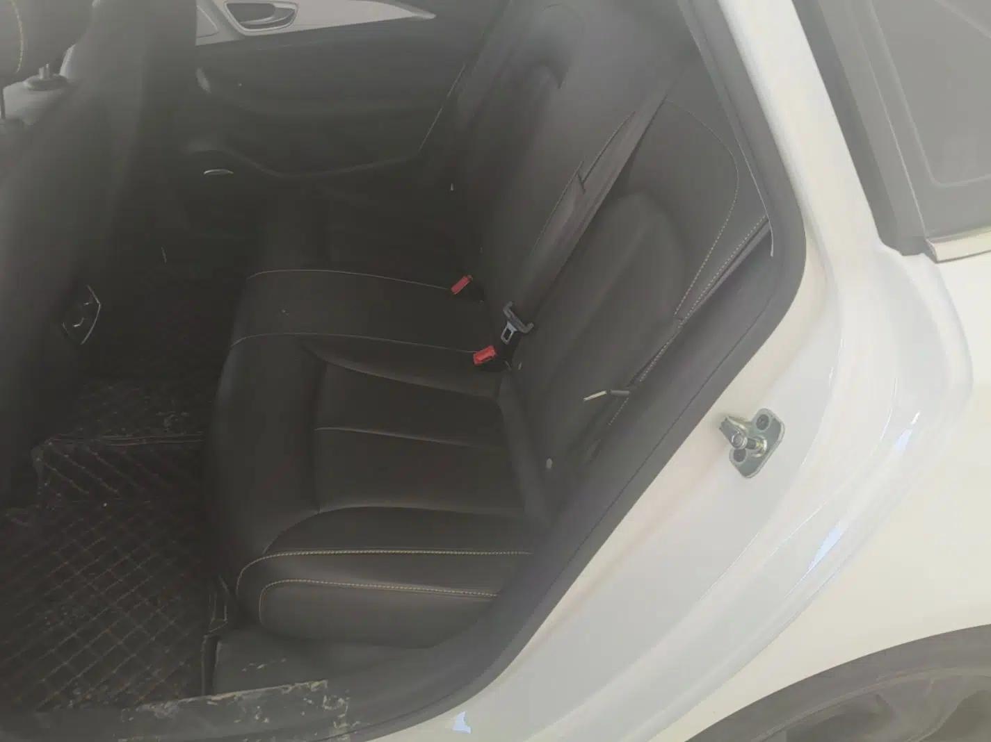 Roewe i6 MAX New Energy 2020 1.5T PHEV Sporty Cool Edition — миниатюра 20