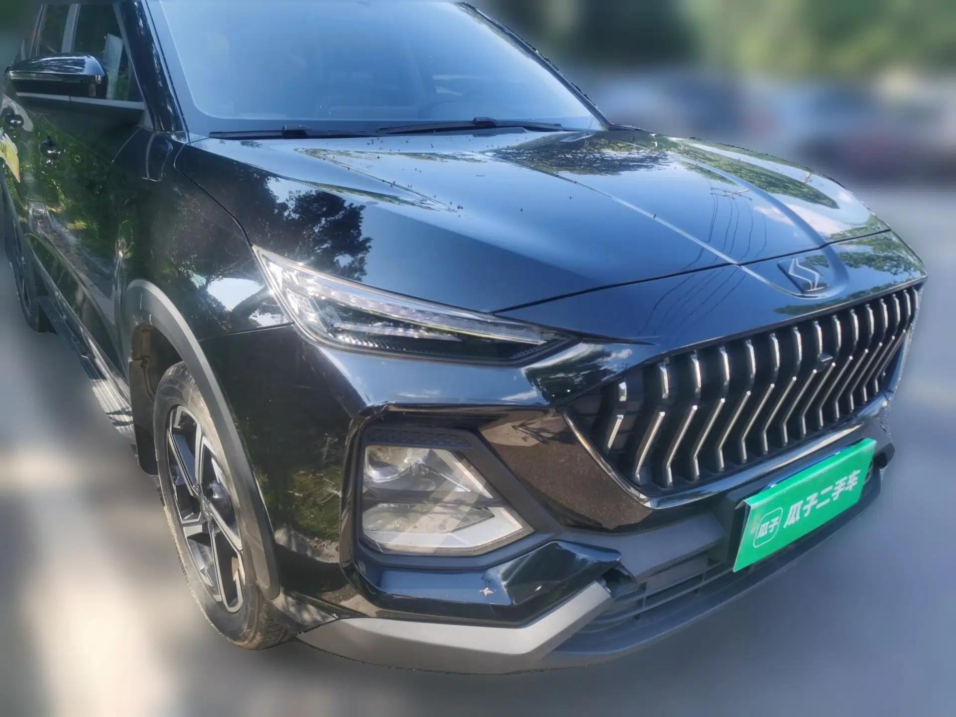 SOL X8 2021 300T DCT Panoramic Luxury Edition 6 Seats — миниатюра 3