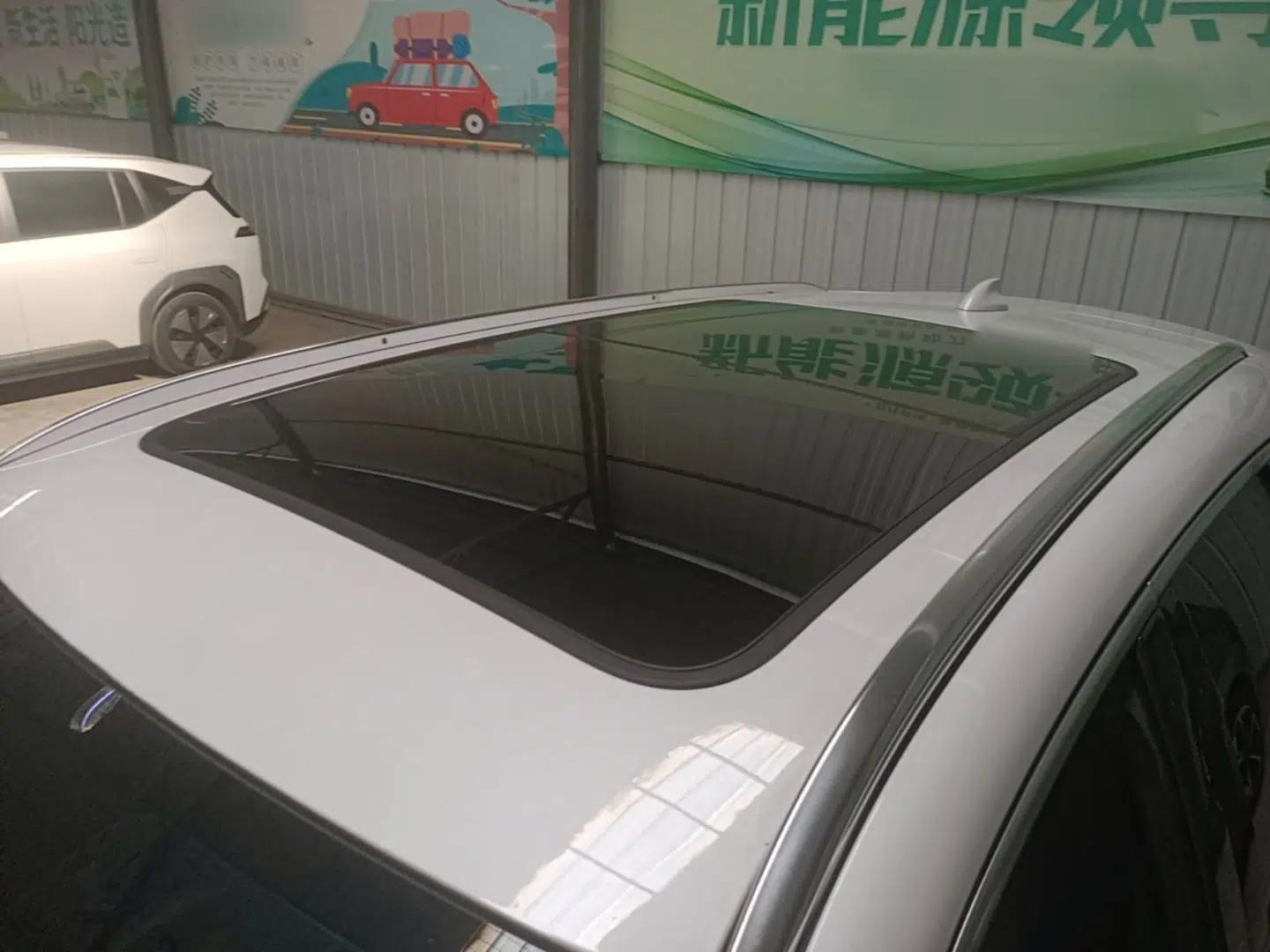 Denza X 2020 Pure Electric Classic Edition — миниатюра 11