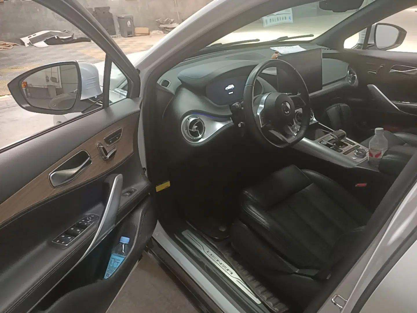 Denza X 2020 Pure Electric Classic Edition — миниатюра 18
