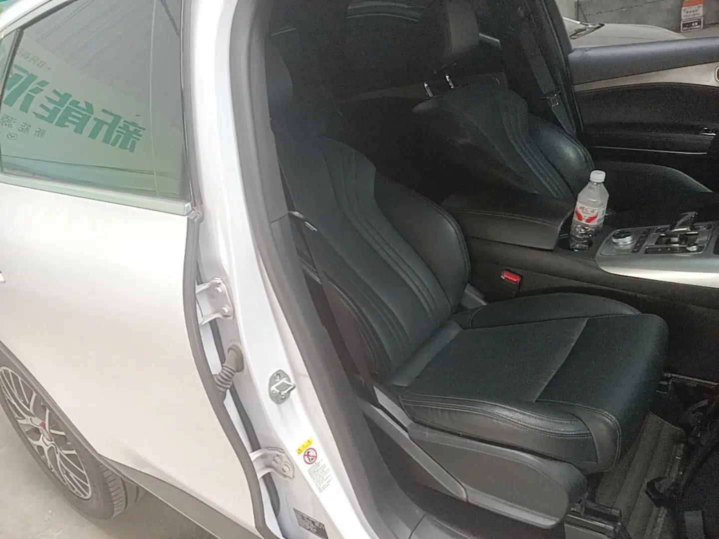 Denza X 2020 Pure Electric Classic Edition — миниатюра 23