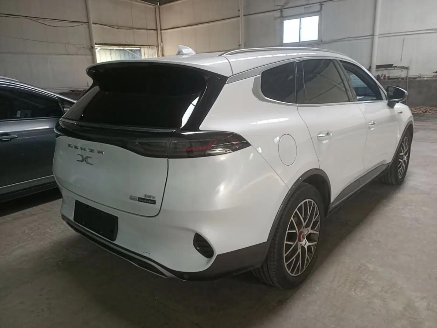 Denza X 2020 Pure Electric Classic Edition — миниатюра 4