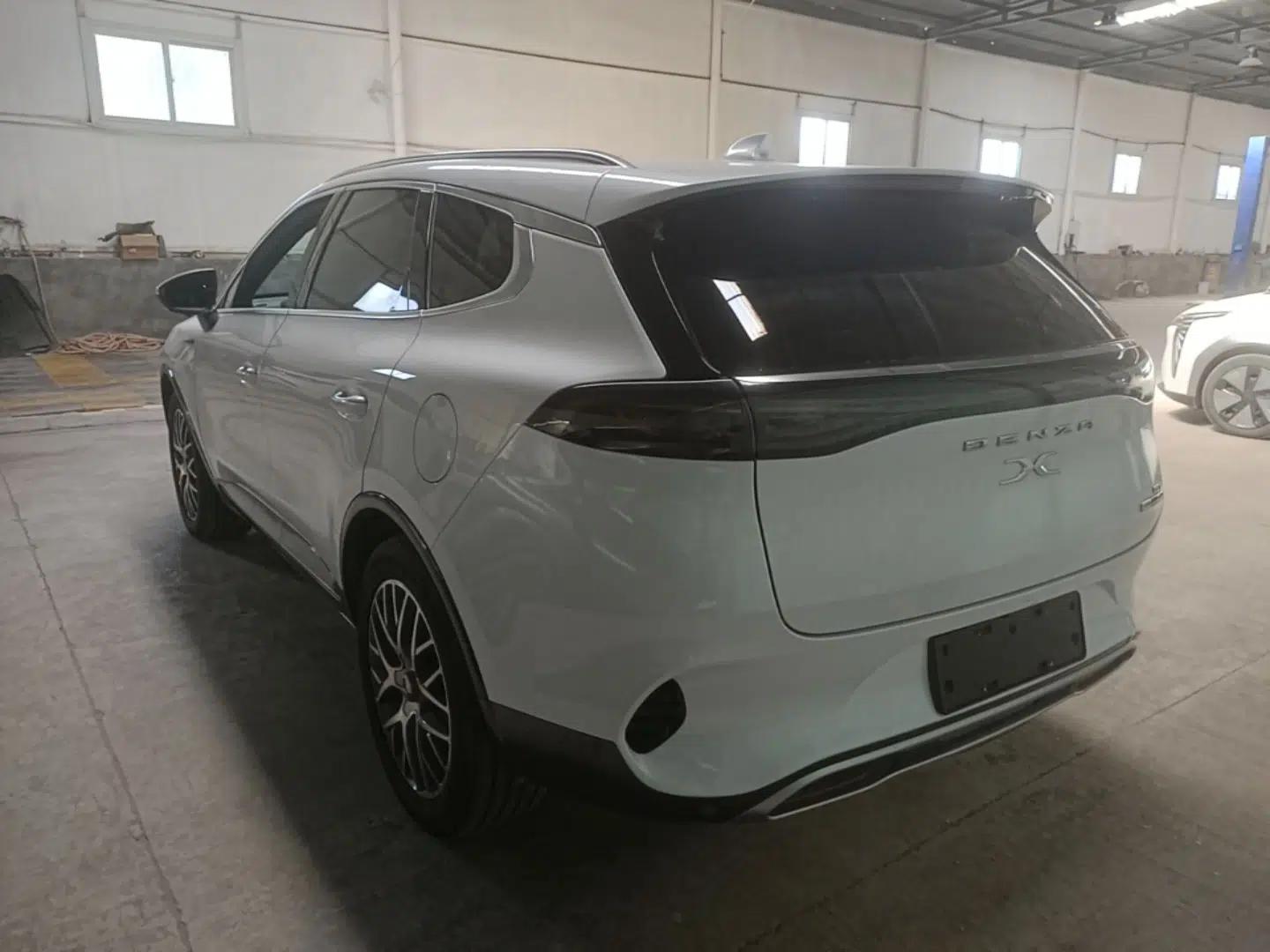 Denza X 2020 Pure Electric Classic Edition — миниатюра 7
