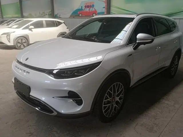 Denza X 2020 Pure Electric Classic Edition