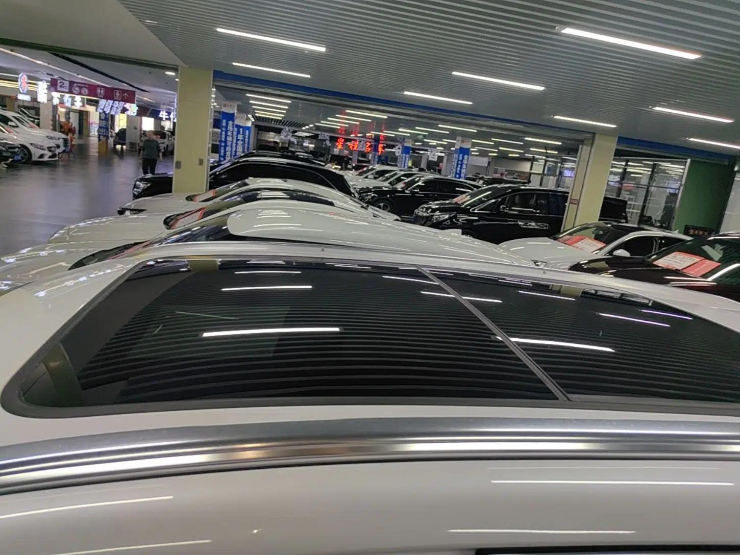 Denza X 2020 PHEV Flagship Edition — миниатюра 11