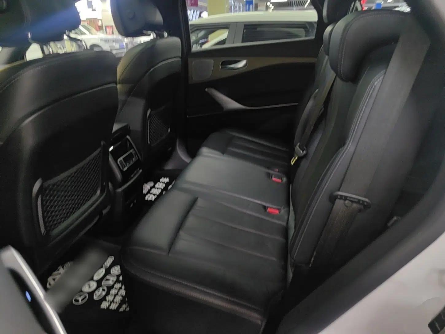 Denza X 2020 PHEV Flagship Edition — миниатюра 19