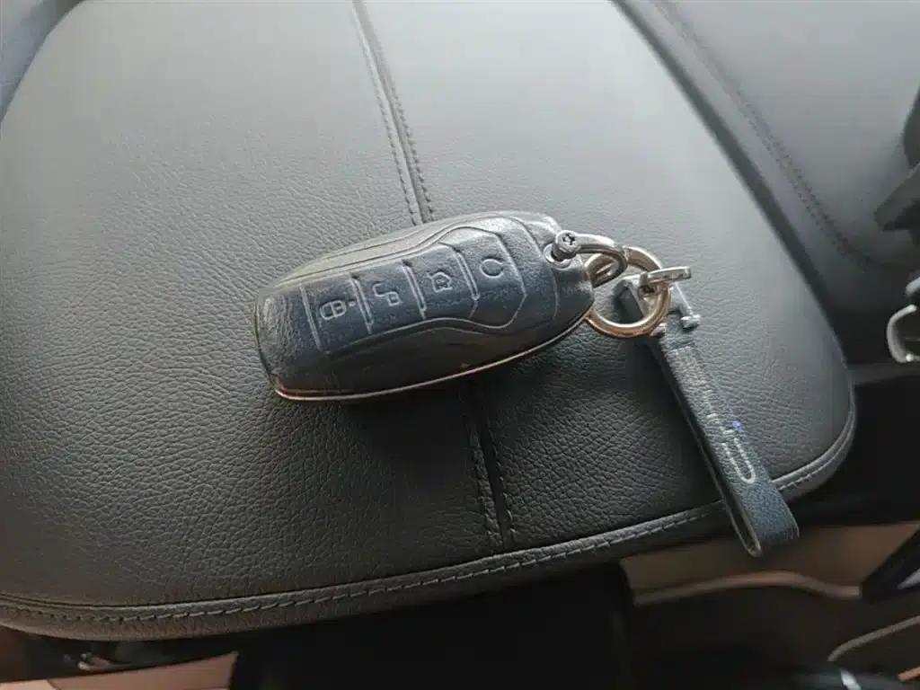 Song PLUS 2020 1.5T Automatic Flagship Edition — миниатюра 9