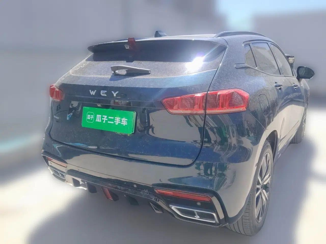 Wey VV7 New Energy 2020 PHEV 2.0T Flagship Model — миниатюра 6