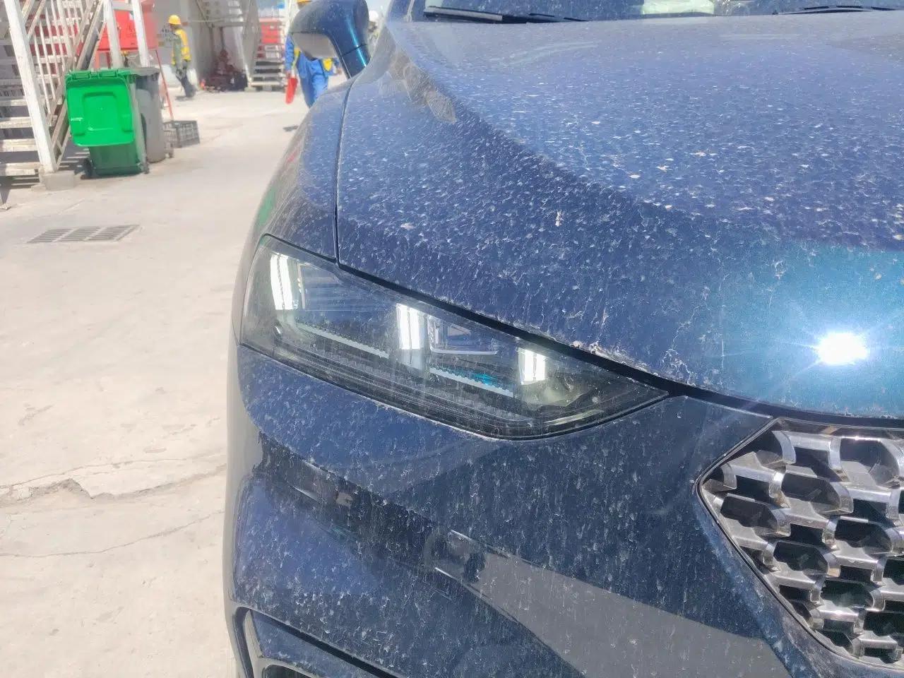 Wey VV7 New Energy 2020 PHEV 2.0T Flagship Model — миниатюра 7