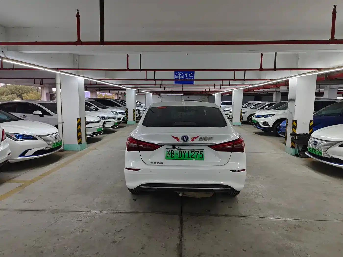Changan Eado New Energy 2019 EV460 Smart Edition — миниатюра 5