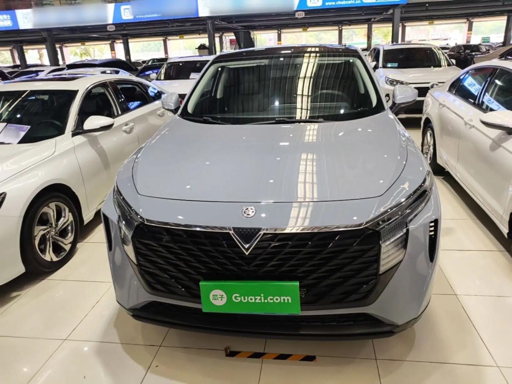 Venucia V 2021 260T Idol Edition — миниатюра 2