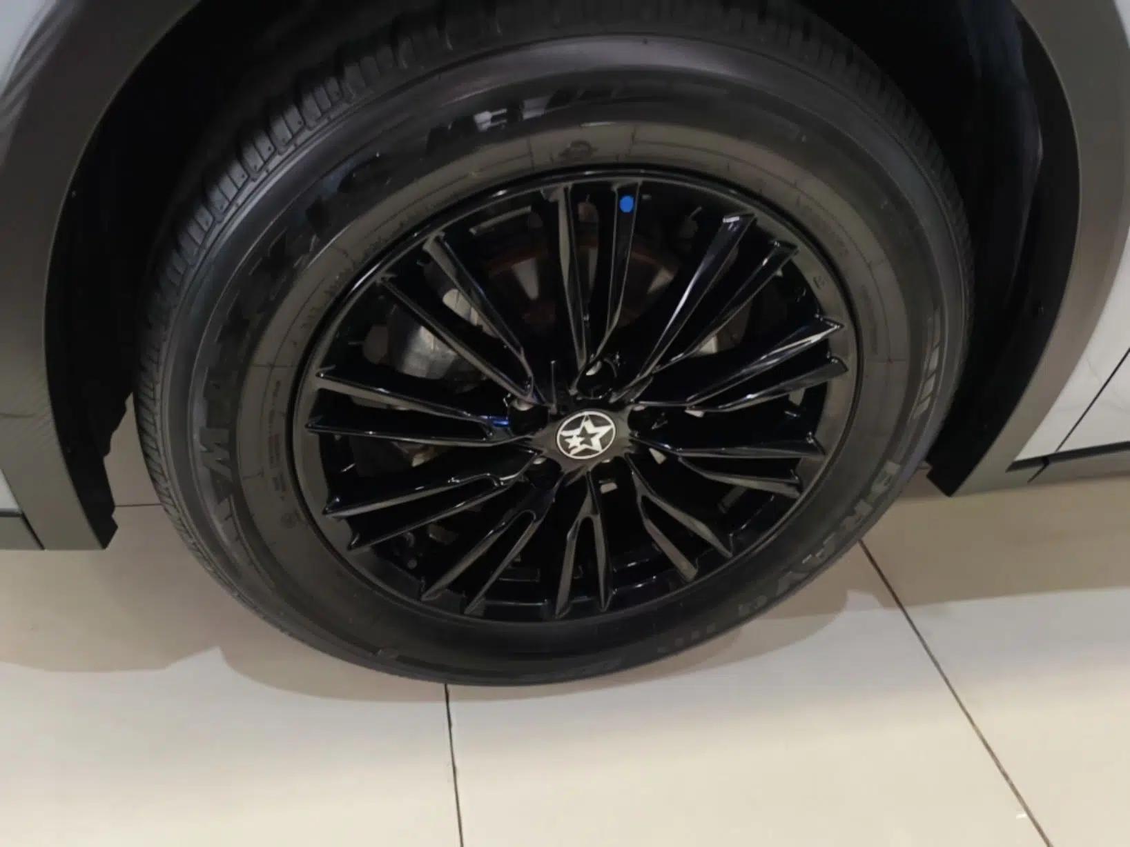 Venucia V 2021 260T Idol Edition — миниатюра 9