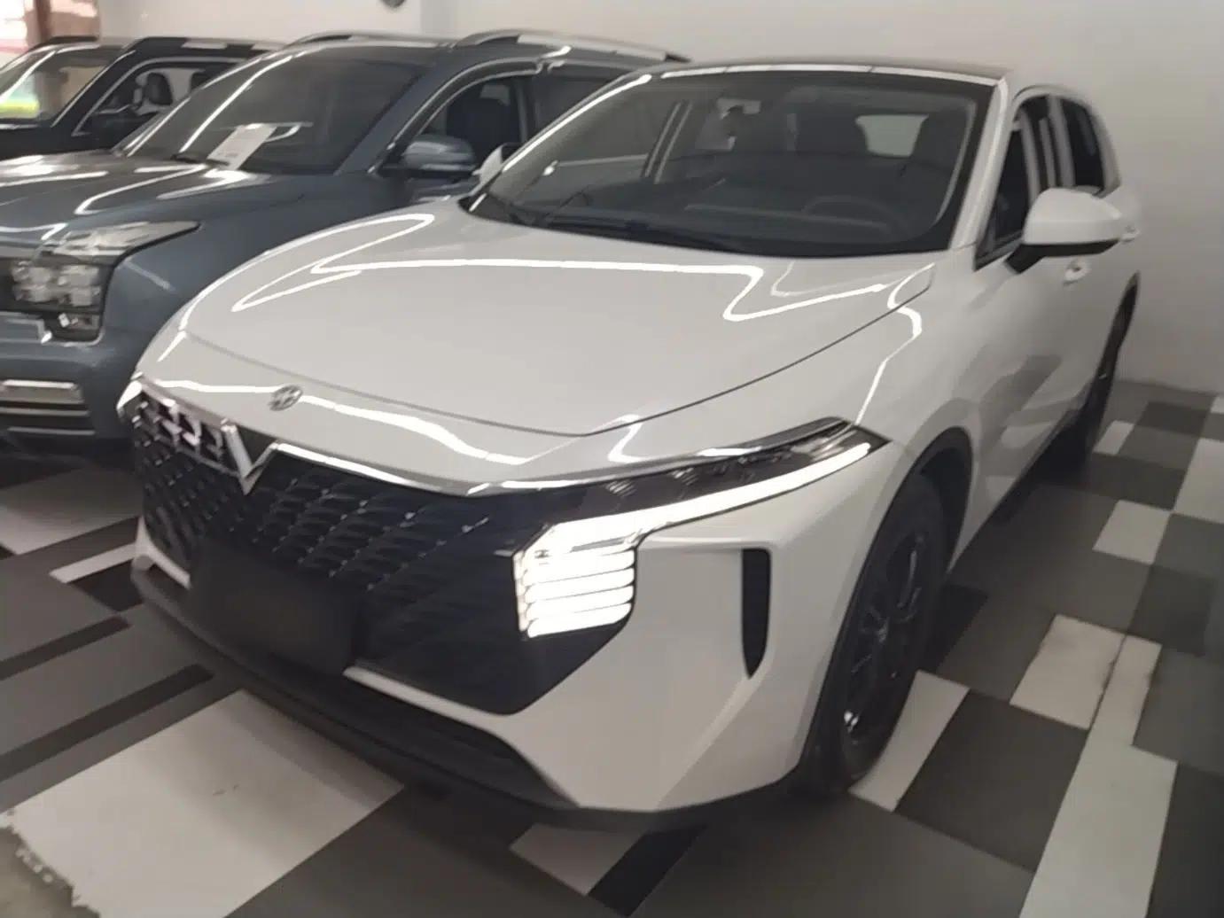 Venucia V 2021 260T Idol Edition — миниатюра 1