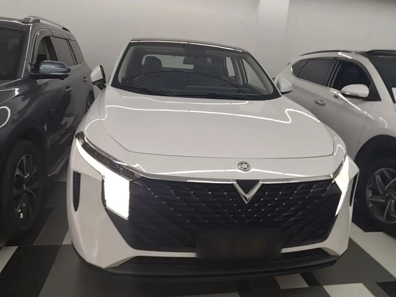 Venucia V 2021 260T Idol Edition — миниатюра 2