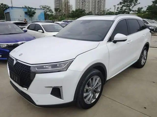 Venucia Star 2023 260T Starful Achievement Edition Pro