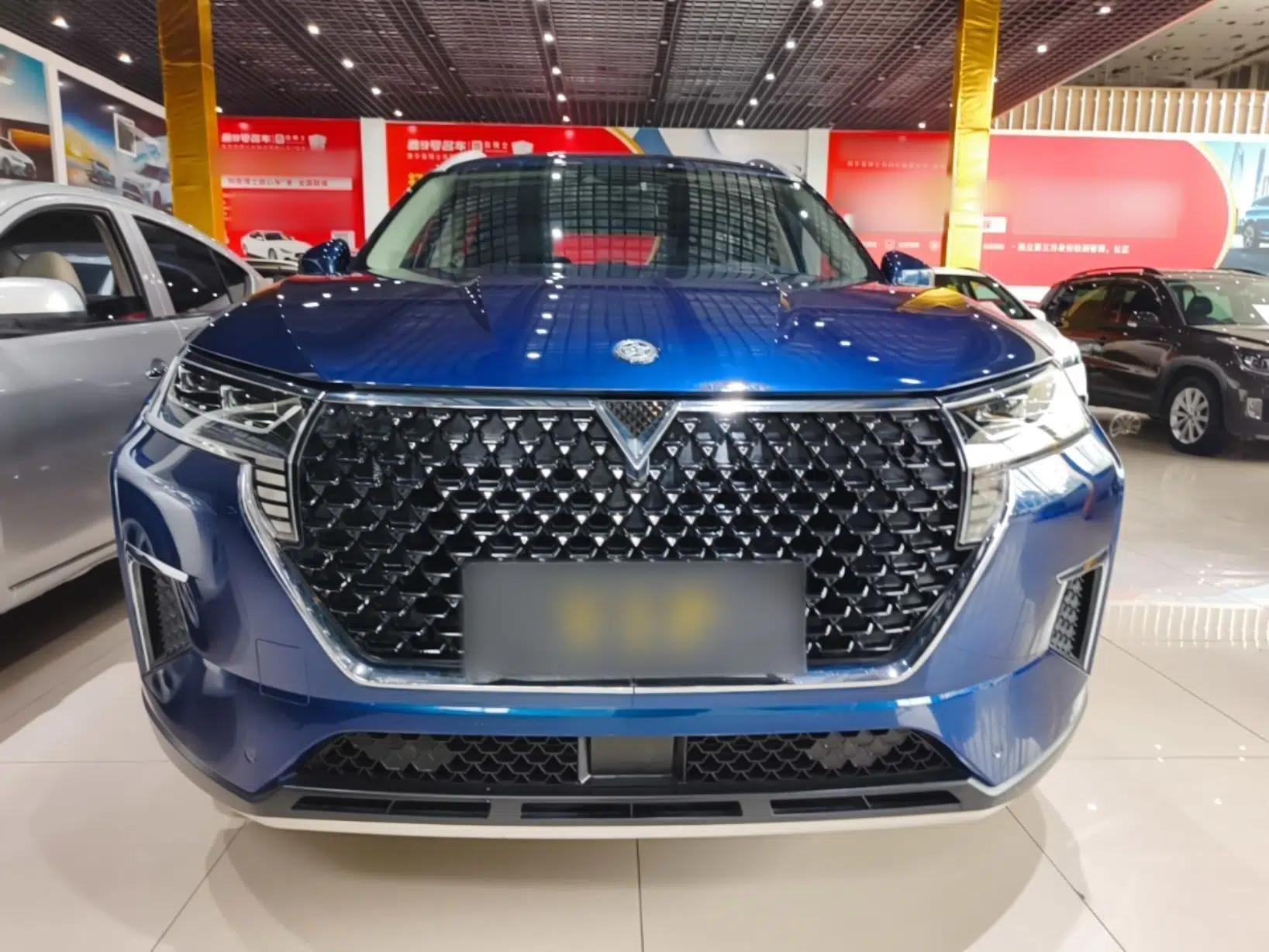 Venucia Star 2020 260T Automatic 48V Mild Hybrid Turbocharged Starry Edition — миниатюра 2