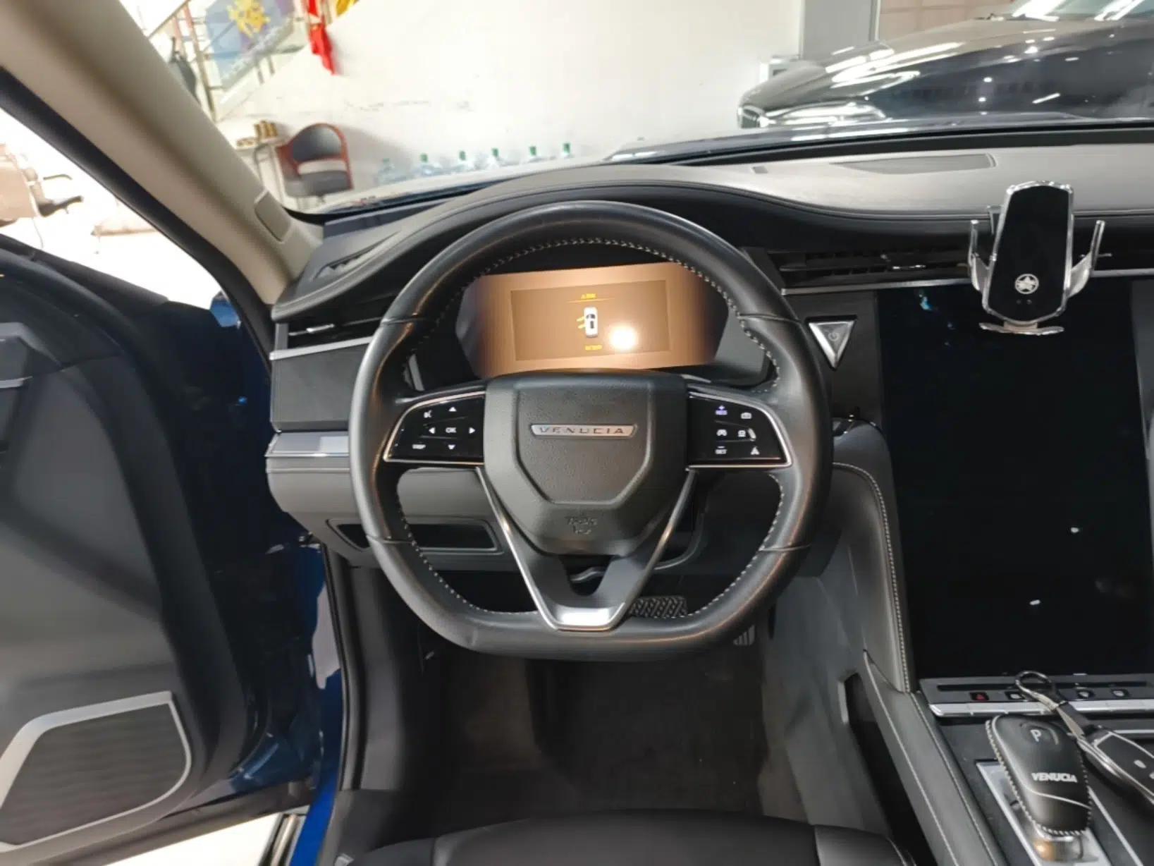 Venucia Star 2020 260T Automatic 48V Mild Hybrid Turbocharged Starry Edition — миниатюра 13