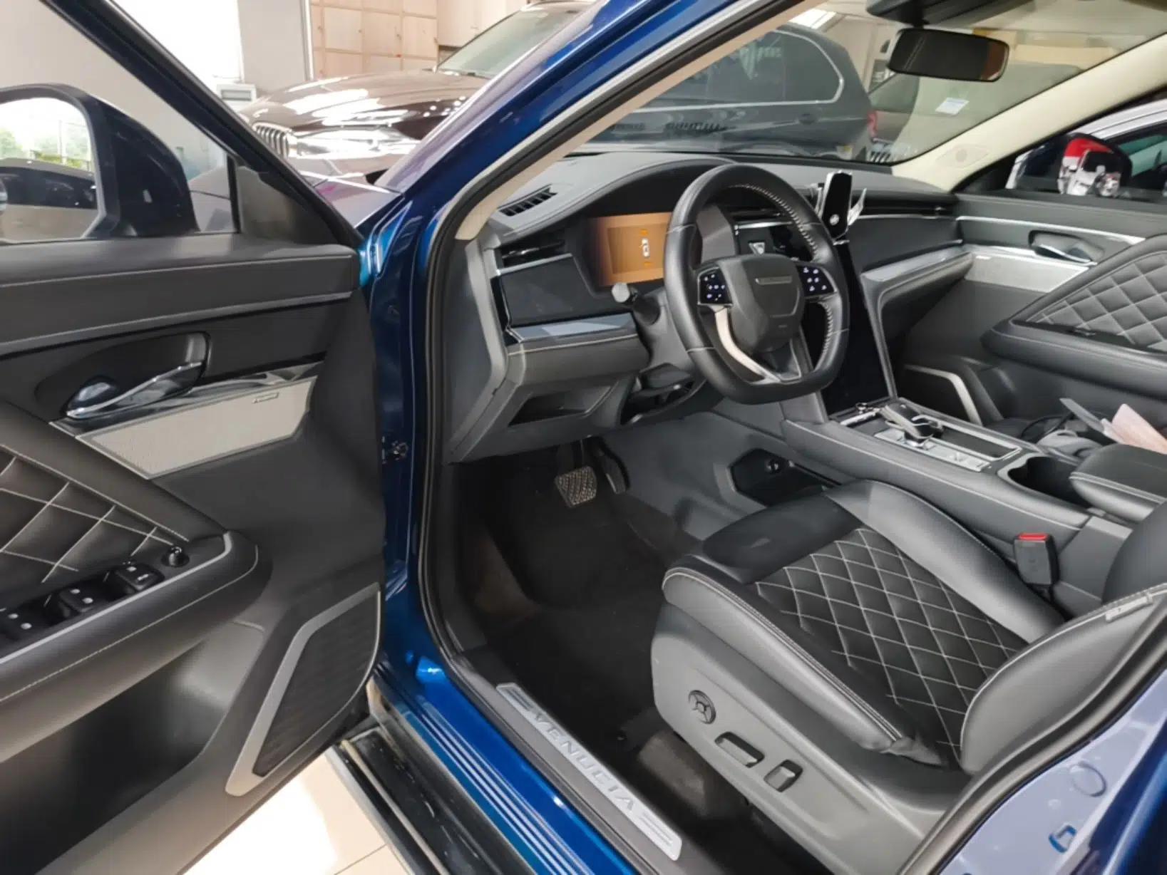 Venucia Star 2020 260T Automatic 48V Mild Hybrid Turbocharged Starry Edition — миниатюра 18