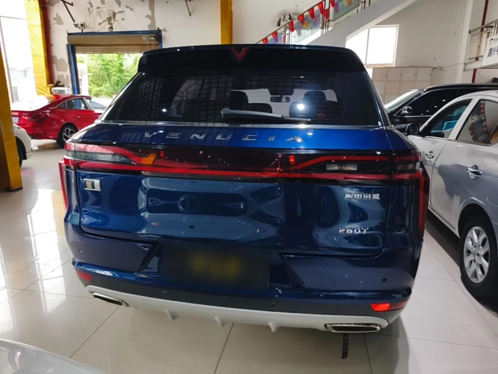 Venucia Star 2020 260T Automatic 48V Mild Hybrid Turbocharged Starry Edition — миниатюра 3