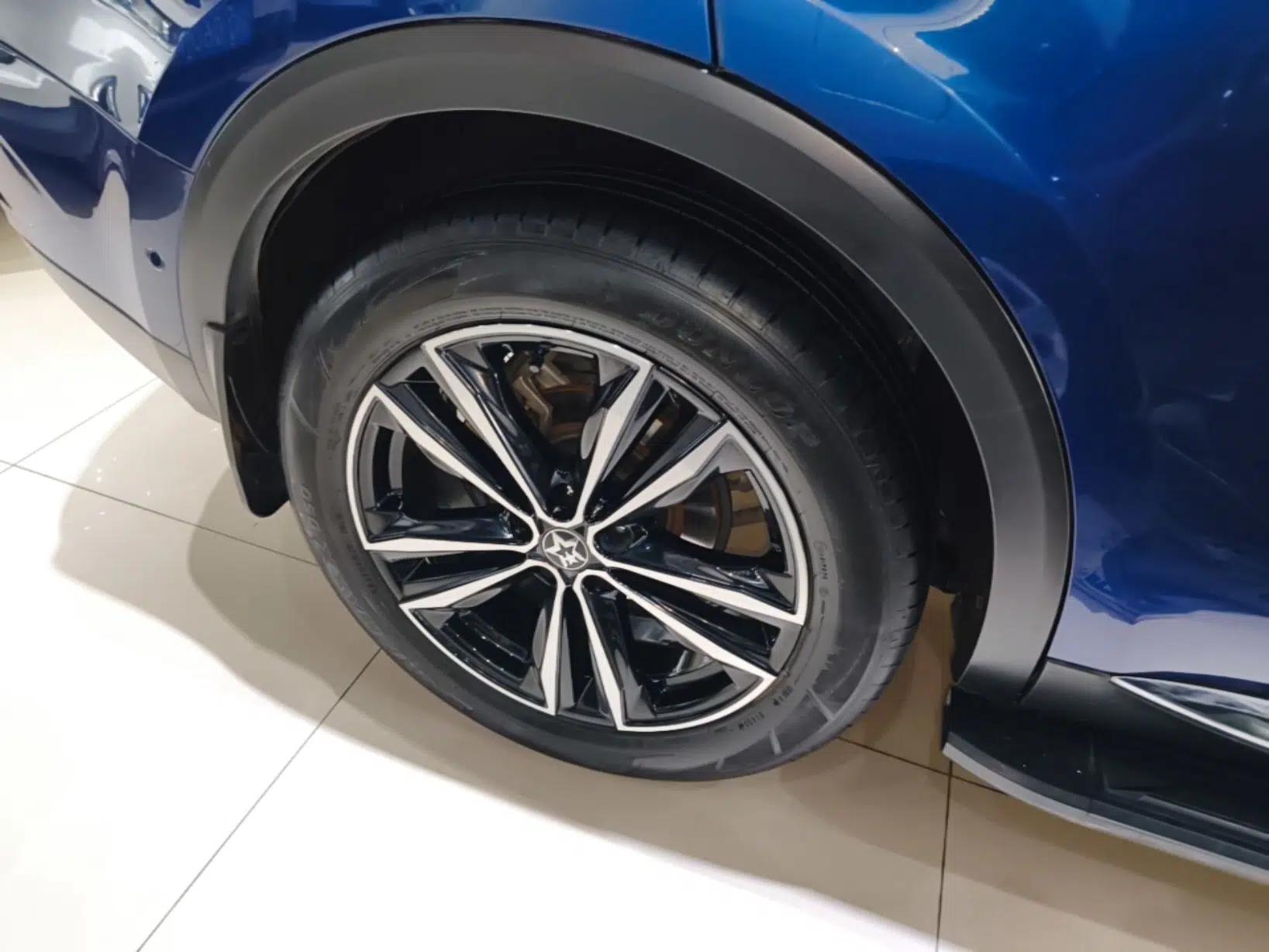 Venucia Star 2020 260T Automatic 48V Mild Hybrid Turbocharged Starry Edition — миниатюра 10