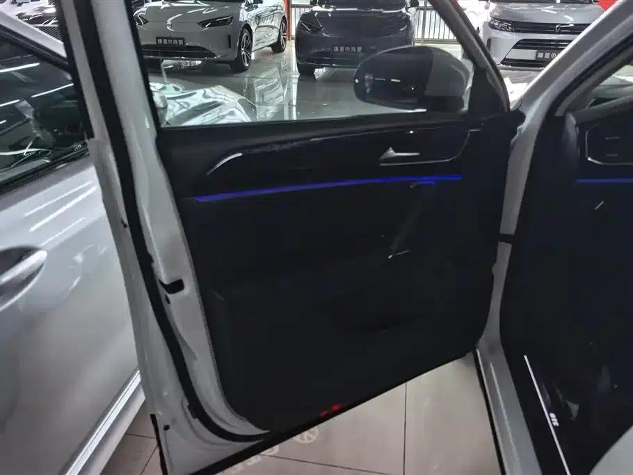 Tayron GTE Plug-in Hybrid 2020 1.4T Luxury Edition — миниатюра 7