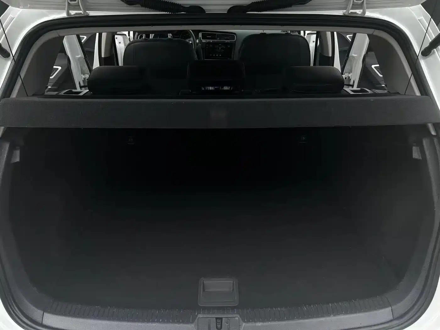 2020 Golf EV — миниатюра 13