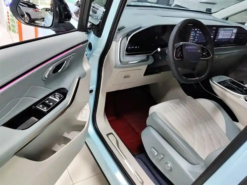 Everyone 9 2022 Long Range Forest 7-Seater Edition — миниатюра 16