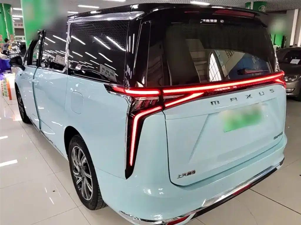 Everyone 9 2022 Long Range Forest 7-Seater Edition — миниатюра 5