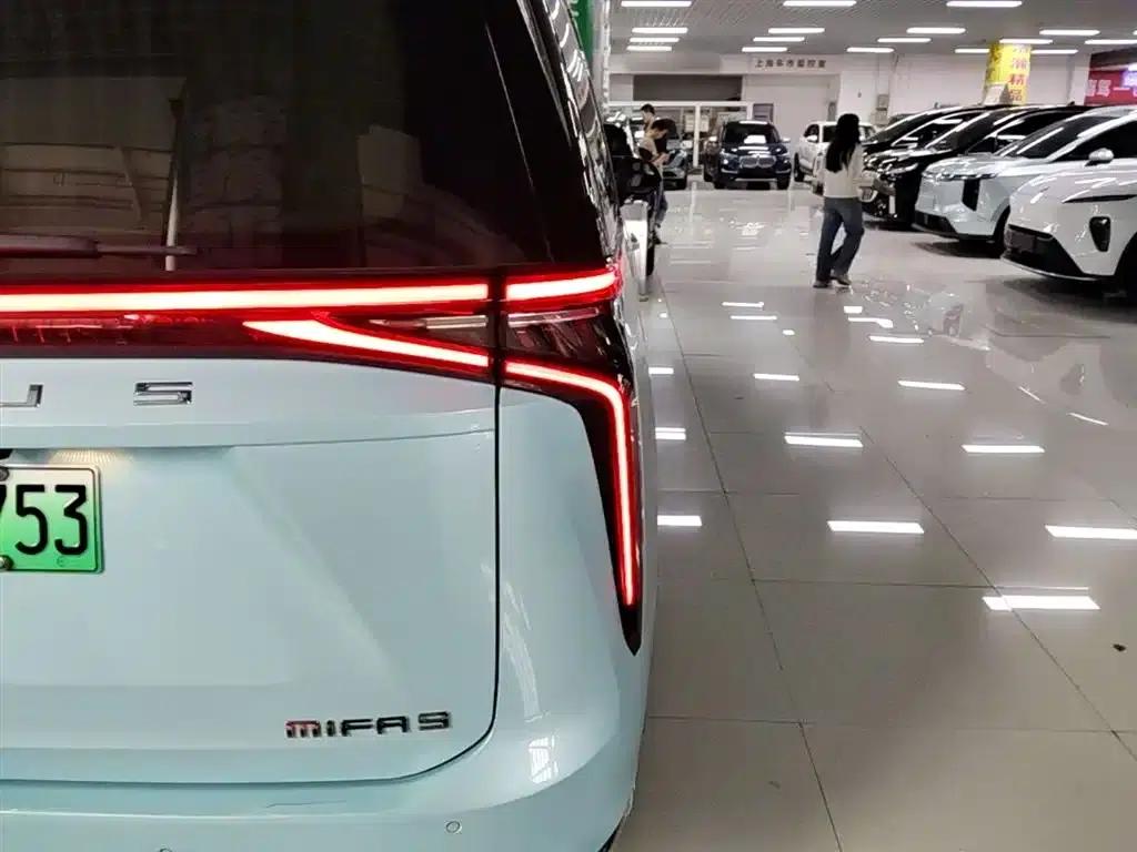 Everyone 9 2022 Long Range Forest 7-Seater Edition — миниатюра 8