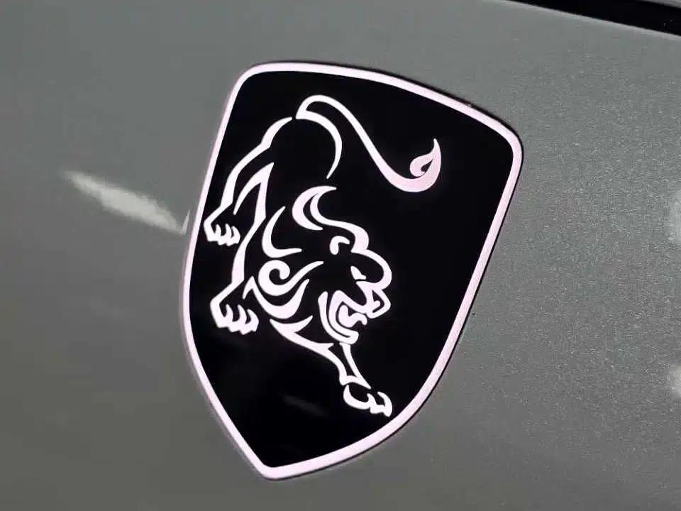 Xinghai S7 2024 555 Luxury Edition — миниатюра 10