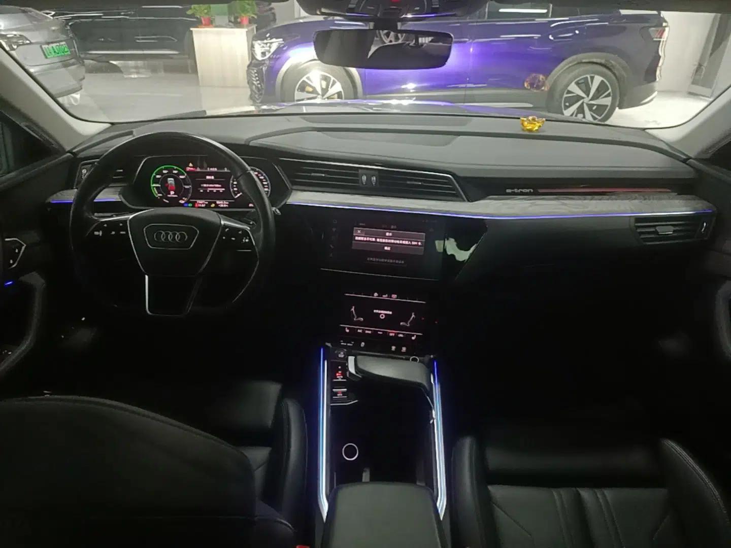 Audi e-tron 2019 55 quattro Technology Edition — миниатюра 13