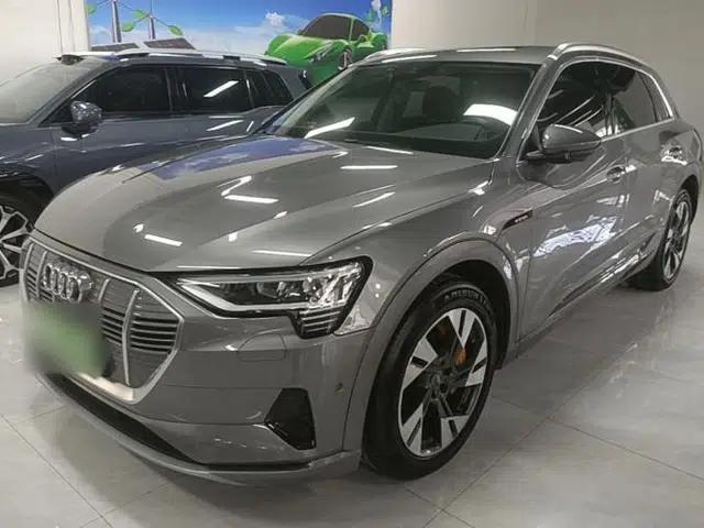 Audi e-tron 2019 55 quattro Technology Edition