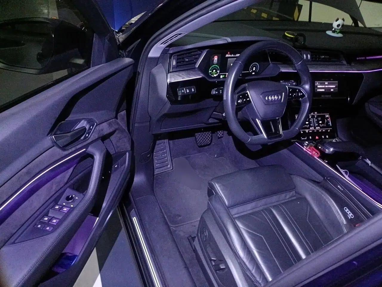 Audi e-tron 2019 55 quattro Technology Edition — миниатюра 17